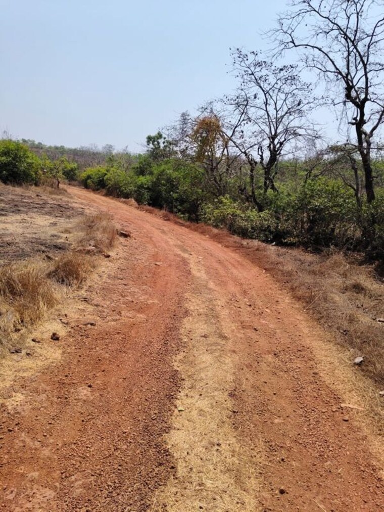 undefined, konkan nagar  23232 Sq.Ft. Plot In Konkan Nagar Ratnagiri 10288544