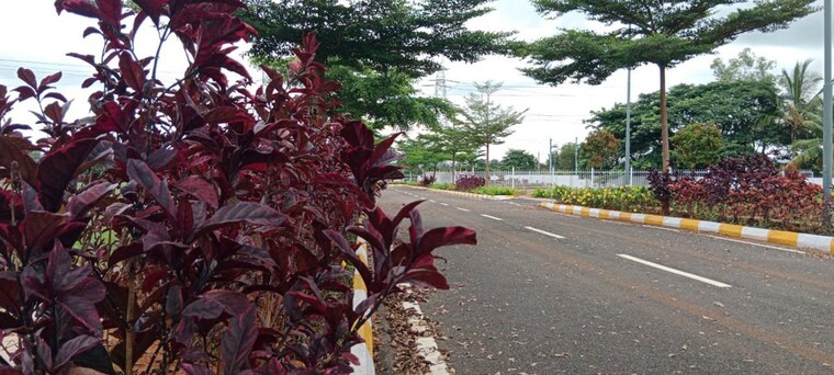 Exterior View, kaggalipura  1200 Sq.Ft. Plot In Kaggalipura Bangalore 10289046