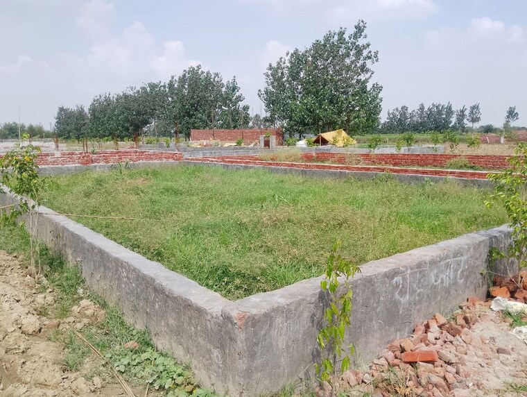 undefined, sector 144  1336 Sq.Ft. Plot In Sector 144 Noida 10289196