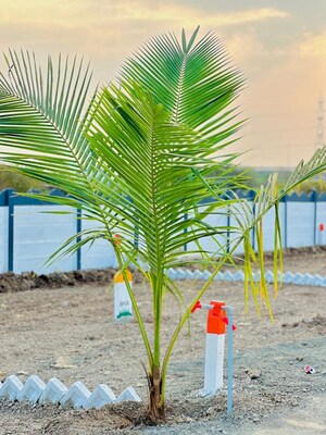  Plot – Exterior View View at Kesnand - for Sale