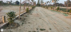  Plot For Sale in Gosainganj