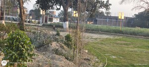 Plot Area in  Plot at Gosainganj – for Sale