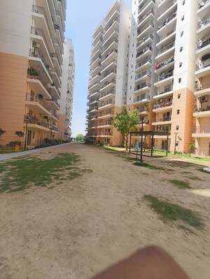 3 BHK Apartment For Rent in ROF Amaltas, Sector 92