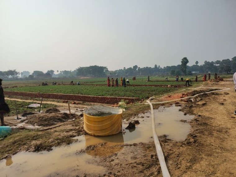 undefined, beldarichak  1750 Sq.Ft. Plot In Beldarichak Patna 10289979