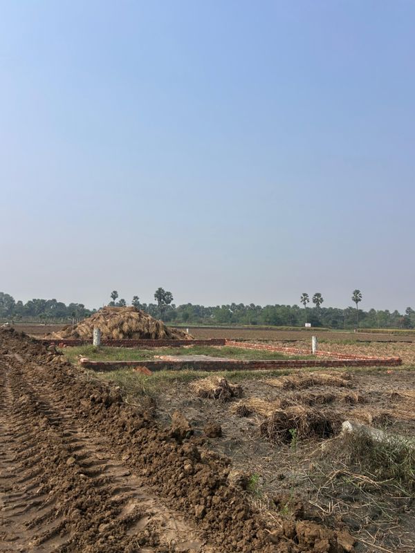 Plot For Sale in Beldarichak