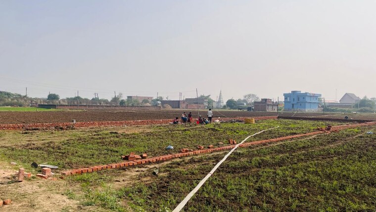 undefined, beldarichak  2450 Sq.Ft. Plot In Beldarichak Patna 10289997