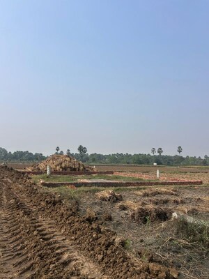 Plot Area in  Plot at Beldarichak – for Sale