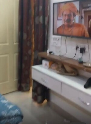 2 BHK Apartment For Sale in Milan Earth, Raj Nagar Extension