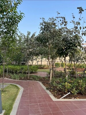 1 RK Apartment – Garden View at Purva Silversands, Mundhwa - for Rent