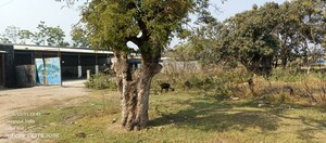  Industrial Plot – Garden View at Boral - for Sale