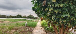 Plot Area in  Plot at Kaggalipura – for Sale