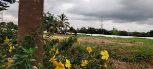  Plot – Exterior View View at Kaggalipura - for Sale