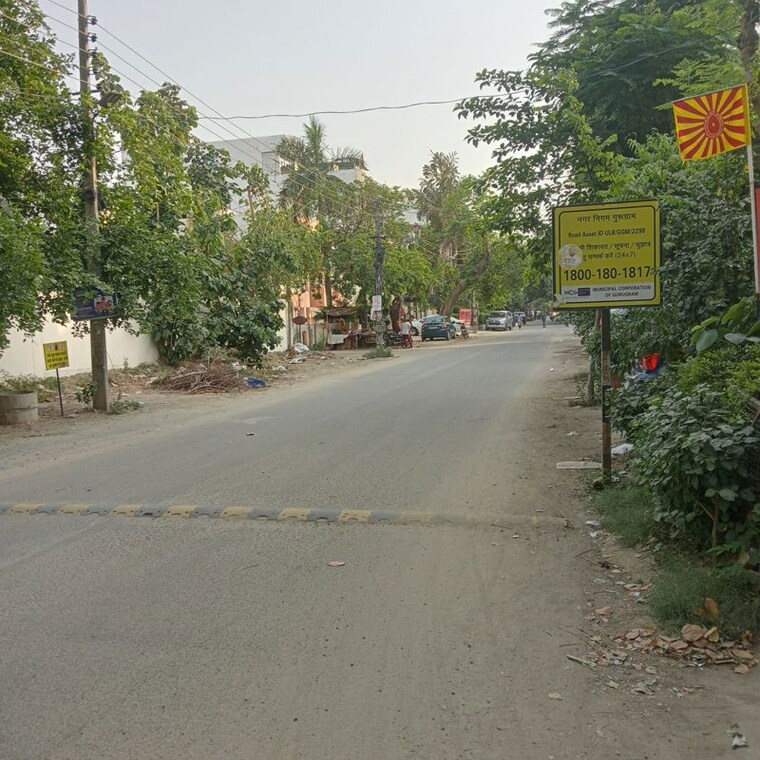 Garden, sector 14 6+ Bedroom 17100 Sq.Ft. Independent House In Sector 14 Gurgaon 10291018