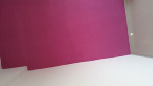 Room in 2 BHK Apartment at Royal Cataleya, Ravet – for Sale