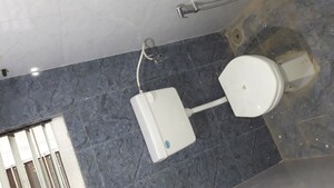 Bathroom in 2 BHK Apartment at Royal Cataleya, Ravet – for Sale