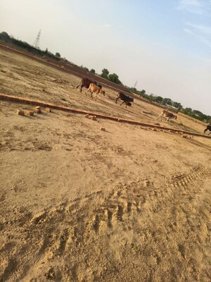  Plot – Exterior View View at Saini - for Sale