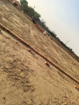 Plot Area in  Plot at Saini – for Sale