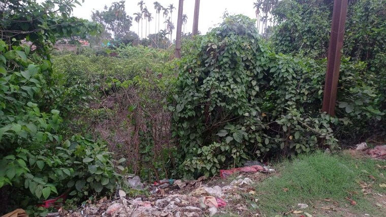 undefined, baruipur Commercial Land 4 Acre In Baruipur Kolkata 10283911