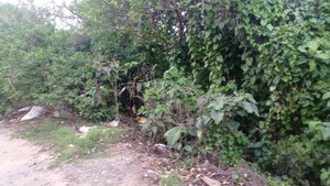  Land – Exterior View View at Baruipur - for Sale