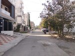 250 Sq.Yd. Plot in Sector 64