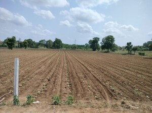  Plot For Sale in Chevalla