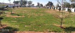 Plot For Sale in Dhanori