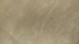 Room in 4 BHK Apartment at Lake Home, Powai – for Rent