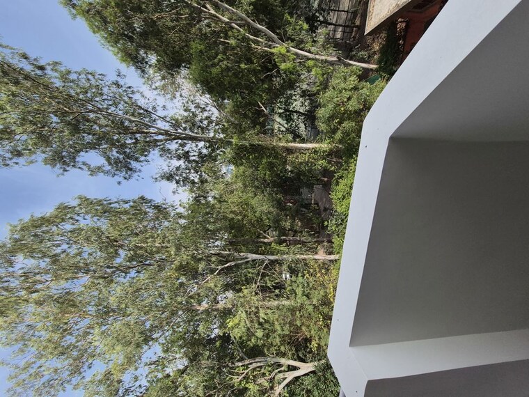 Balcony, mayur vihar 2.5 Bedroom 950 Sq.Ft. Apartment In Mayur Vihar Delhi 10294554