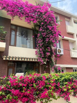 1 BHK Independent House – Exterior View View at Sector 21 - for Rent