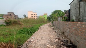 Plot Area in  Plot at Netaji Pally – for Sale