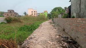 Plot Area in  Plot at Netaji Pally – for Sale