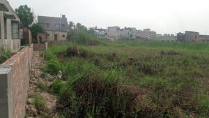 Plot Area in  Plot at Netaji Pally – for Sale