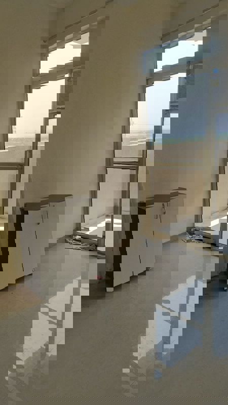 1 BHK 475 Sq.Ft. Apartment in Pyramid Altia