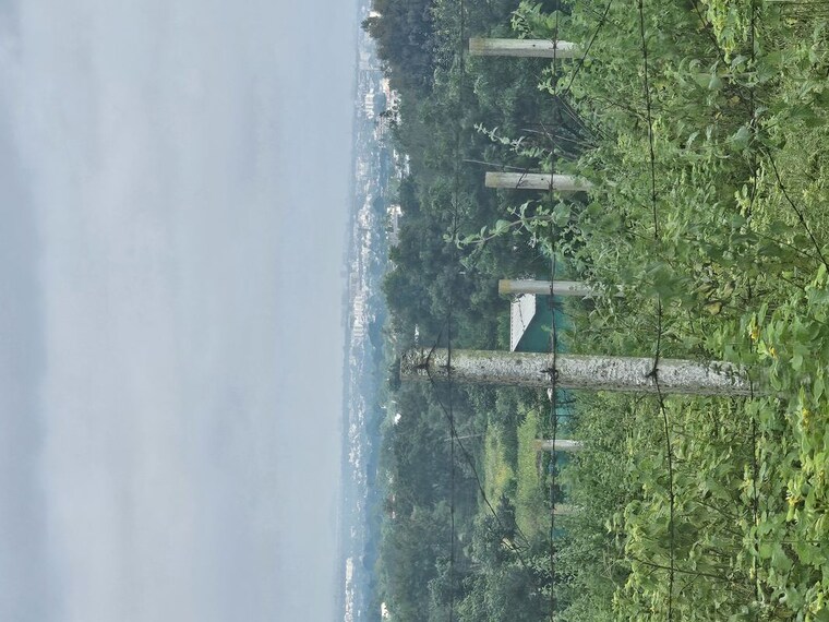 Garden, shinde  4446 Sq.Ft. Plot In Shinde Nashik 10295698