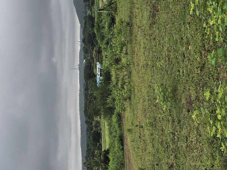 Garden, shinde  4445 Sq.Ft. Plot In Shinde Nashik 10295701