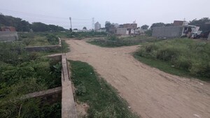 Plot Area in  Plot at Sector 150 – for Sale