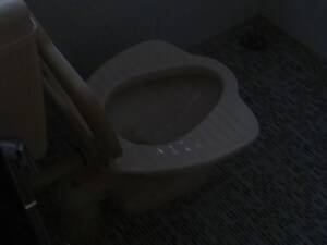 Bathroom in 2 BHK Independent House at Rt Nagar – for Rent