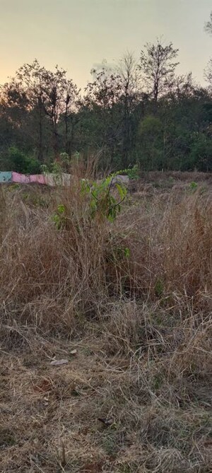 Plot Area in  Industrial Plot at Ghodbunder – for Sale