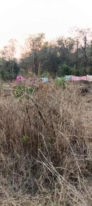  Industrial Plot For Sale in Ghodbunder