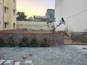  Plot For Sale in Ajanta Vardhman Canary Park, Yashoda Kunj