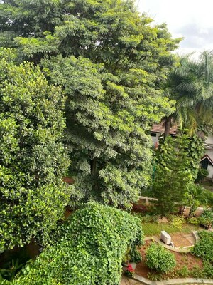 3 BHK Apartment – Garden View at Prestige Four Seasons, Ashok Nagar - for Rent