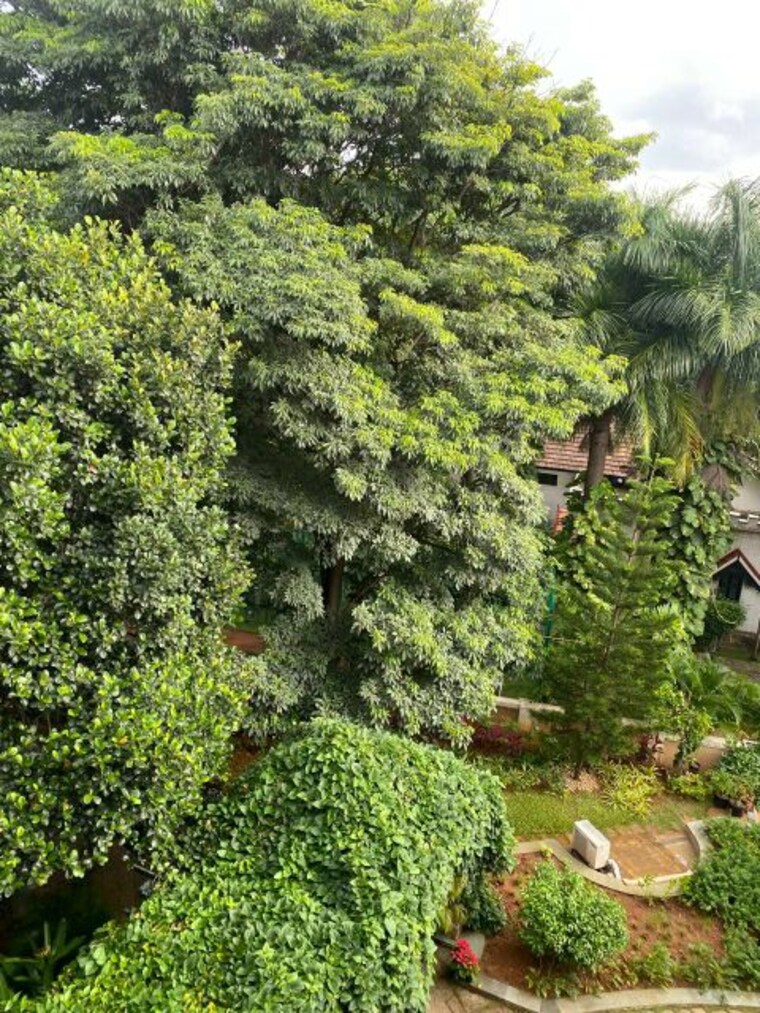 Garden, prestige-four-seasons 3 Bedroom 2538 Sq.Ft. Apartment In Ashok Nagar Bangalore 10296679