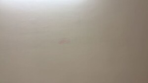 Room in 3.5 BHK Apartment at M3M Soulitude, Sector 89 – for Rent