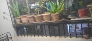 2 BHK Apartment – Exterior View View at Saritha Elegance, Marathahalli - for Rent