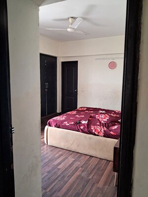 1 RK Builder Floor For Rent in RWA Apartments Sector 41, Sector 41