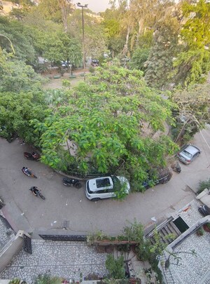 3 BHK Builder Floor – Exterior View View at Malviya Nagar - for Sale