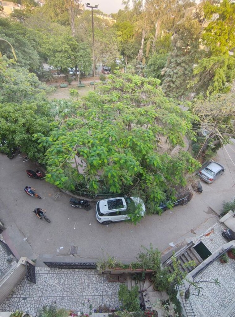 Exterior View, malviya nagar 3 Bedroom 1800 Sq.Ft. Builder Floor In Malviya Nagar Delhi 10296806