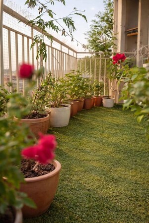 Balcony in 3 BHK Apartment at Kalpataru Exquisite Sierra, Wakad – for Rent