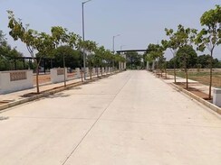 Plot For Sale in Tagarapuvalasa