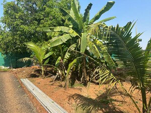  Land – Exterior View View at Gingar Hills, Shahapur - for Sale